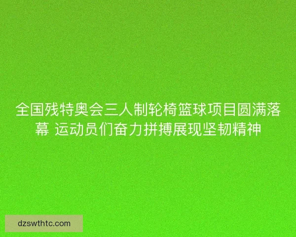 全国残特奥会三人制轮椅篮球项目圆满落幕 运动员们奋力拼搏展现坚韧精神