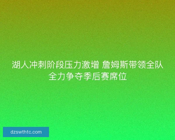 湖人冲刺阶段压力激增 詹姆斯带领全队全力争夺季后赛席位
