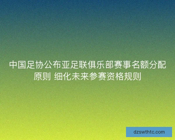中国足协公布亚足联俱乐部赛事名额分配原则 细化未来参赛资格规则